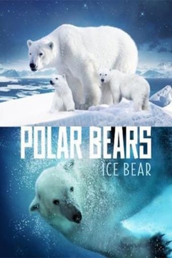 Polar Bears: Ice Bear 2013