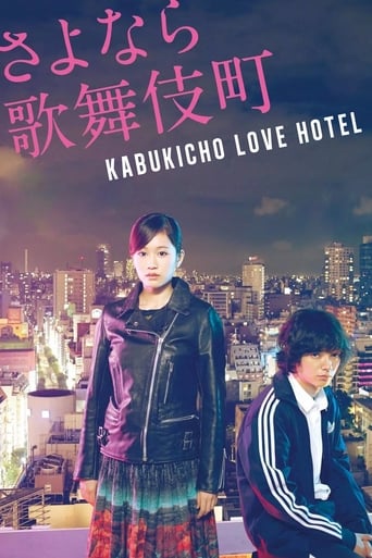 Kabukicho Love Hotel 2014