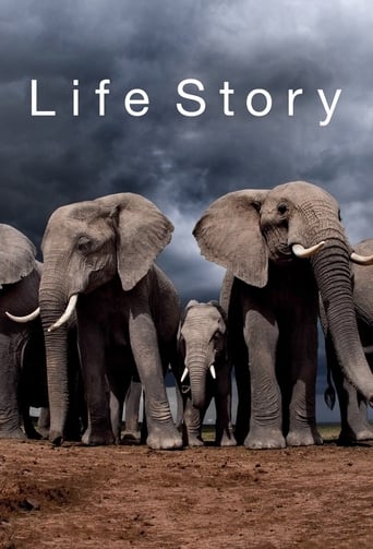 Life Story 2014 (داستان زندگی)