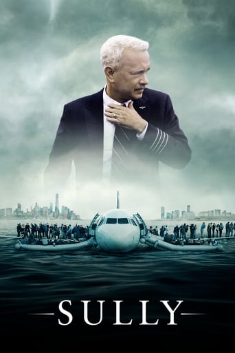 Sully 2016 (سالی)