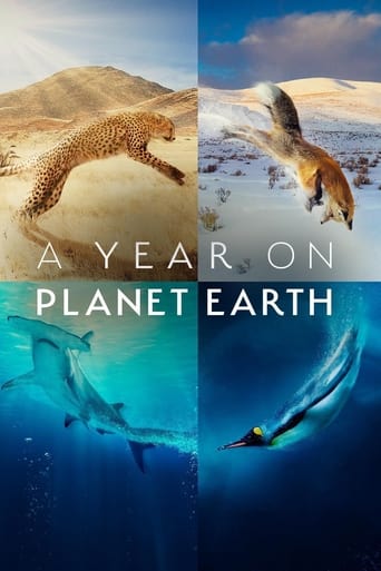 A Year on Planet Earth 2022